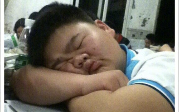 Pose tidur sehari-hari teman kocak