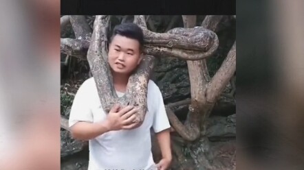 The tree branch in the scenic area is still there, but Brother Ka Tou from those days is nowhere to 