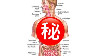 人体最神秘的地方？？？