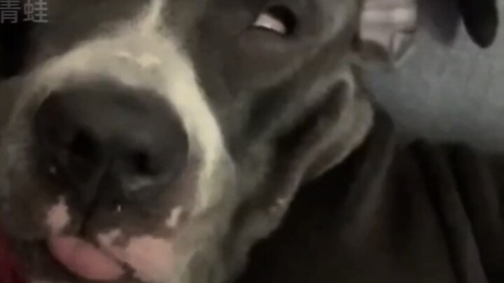 Tiktok Difficult Abstract Record #100 (Clean Version)