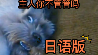 【 是懂哭的狗子诶 】但是日语