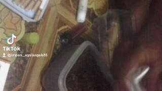 ngelinting roko sendiri