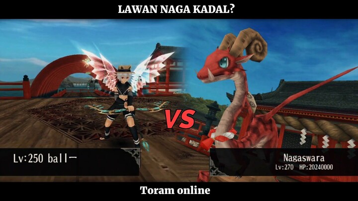 SOLO LEVELING!, SOLO BOS!