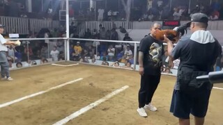 2hits pola col.2nd fyt win champ