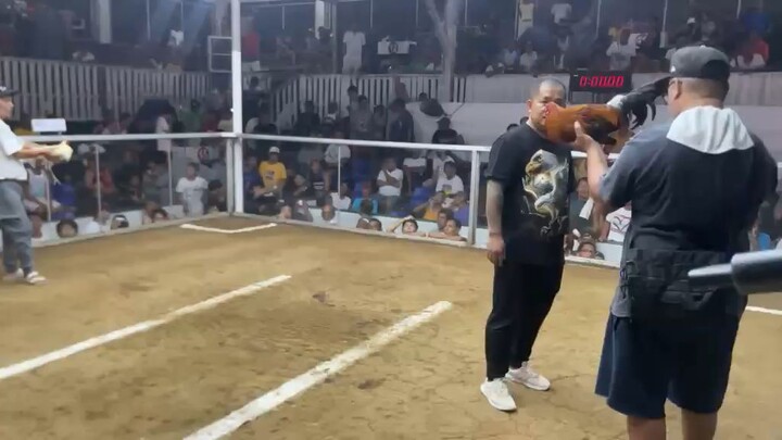 2hits pola col.2nd fyt win champ