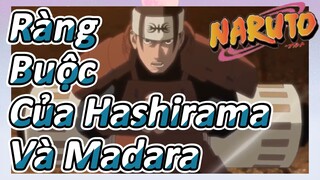 Ràng Buộc Của Hashirama Và Madara