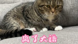 今晚生场大病明天就进医院，让你也体会下什么是肉痛