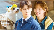 A Good Day to be a Dog Episode 10 Tagalog Dubbed