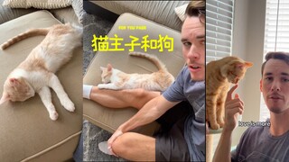 عند التفكير جيدًا، نجد أن مُرَبِّي القطط هم في الحقيقة كلاب القطط 🐶