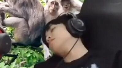 ตัวอย่างอนิเมะ primal