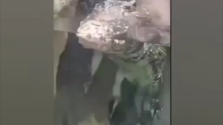 园长：哈？？小伙子，找工作吗？明天单独给你开个馆！