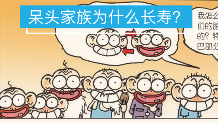 呆头家族为什么长寿？