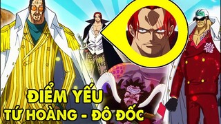 Điểu Yếu Chí Mạng Của Tứ Hoàng Và Đô Đốc | Phân Tích One Piece