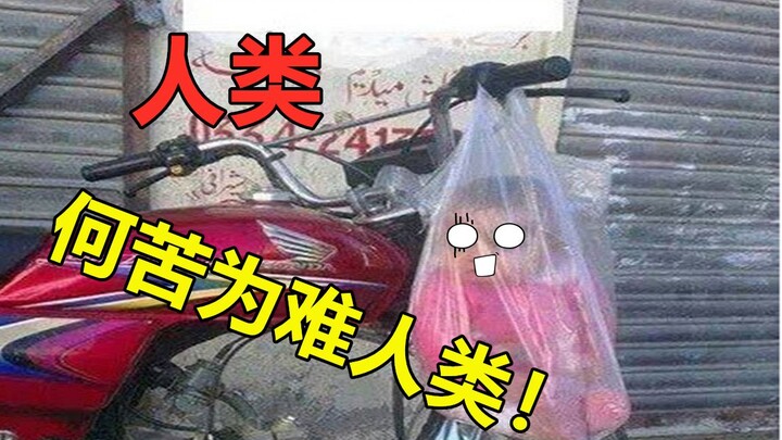 这个反人类游戏就离谱！！！