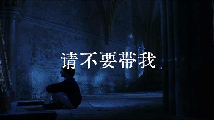 【แฮร์รี่ พอตเตอร์|HP】"อย่าพาฉันไป——"