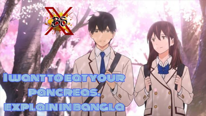 i want to eat your pancreas full movie explain in bangla | boomslang ex.