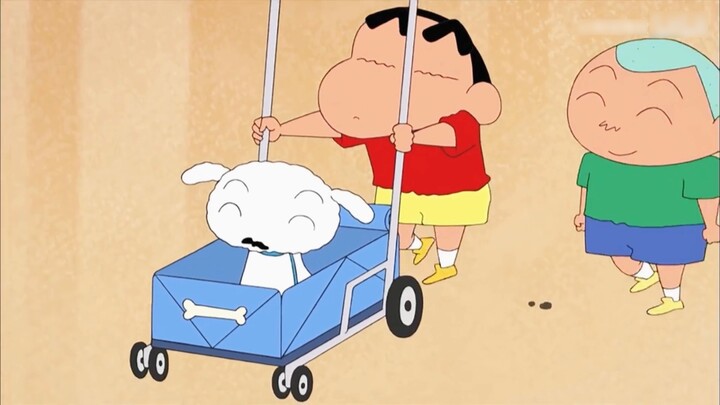 Xiaobai: I am not a human, but you are a real dog