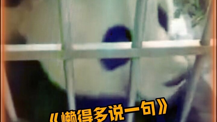 Jinhu’s silence is deafening. Jinhu: Healer, listen to yourself—does the question you just asked eve