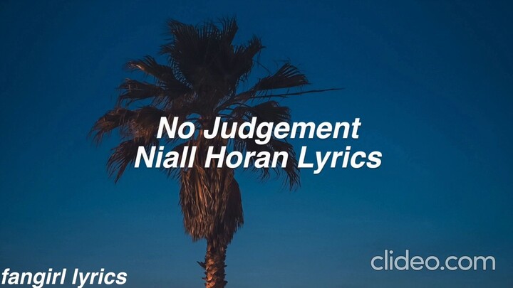 No Judgement || Niall Horan Lyrics (slowed)
