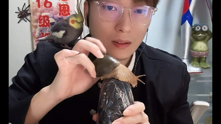 【ASMR】The Weirdest Sleep Aid Ever