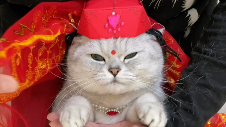 Dilraba Dilmurat is sending you New Year’s greetings from Xinjiang!