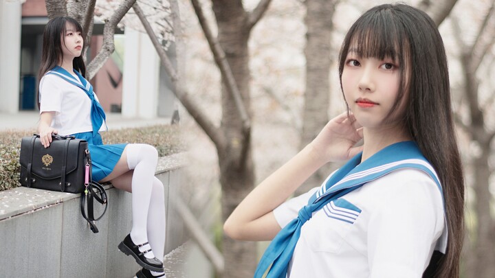 【BDF2022 Zhejiang University】❀ Heartbeat Spectrum❀ Shall we go to see the cherry blossoms together♥