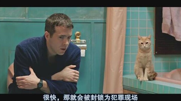 After the male lead accidentally kills someone, the dog urges him to turn himself in, while the cat 