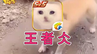 【仙声】第110期：峡谷人，不说早安