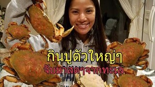 กินปูทะเล สดๆจากทะเล /พูดคุยเรื่องจับปูที่อเมริกา , ชีวิตในอเมริกา