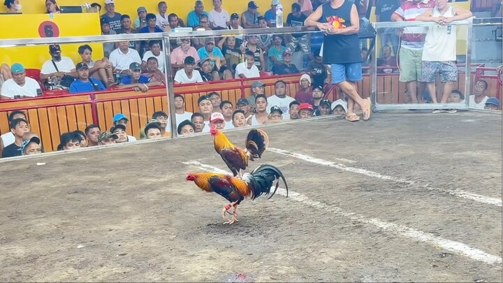 2hits Ulutan @LDB SPORTS ARENA- WW CHAMPION