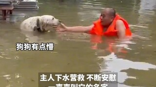 4 Agustus (dipublikasikan), Zhuozhou, Hebei. Seorang pria menemukan anjingnya sendiri di dalam air, 