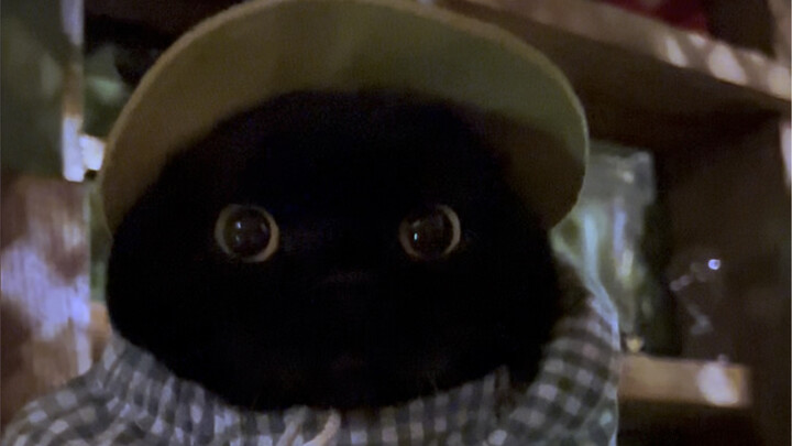 เลี้ยงแมวดำมา 10 ปี จนฝึกจนมีทักษะเด็ดในมือ!