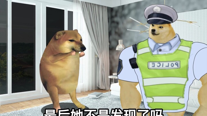 为什么受伤的总是我