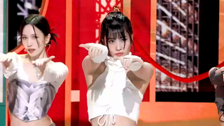 كيوتو كوك تاو مومورينج 😎