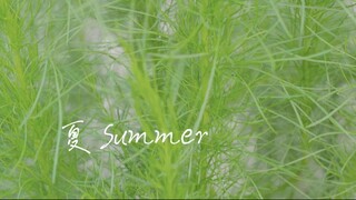 夏休み  Summer Day