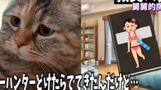 【熟肉】关于我第一次看的小薄本是特级咒物的事 | 猫meme