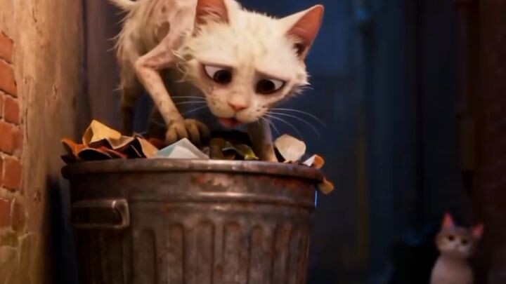 That cat is miserable. "#cat#