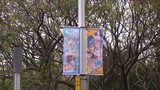 公園でぺこらの旗が大量！？ So many Pekora flags in the park!? Σヽ(ﾟД ﾟ; )ﾉ