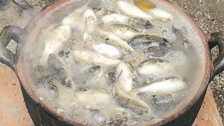Ikan ini kalau dimakan enak, mulutnya puas; kalau tidak enak, bisa-bisa langsung bikin keributan?