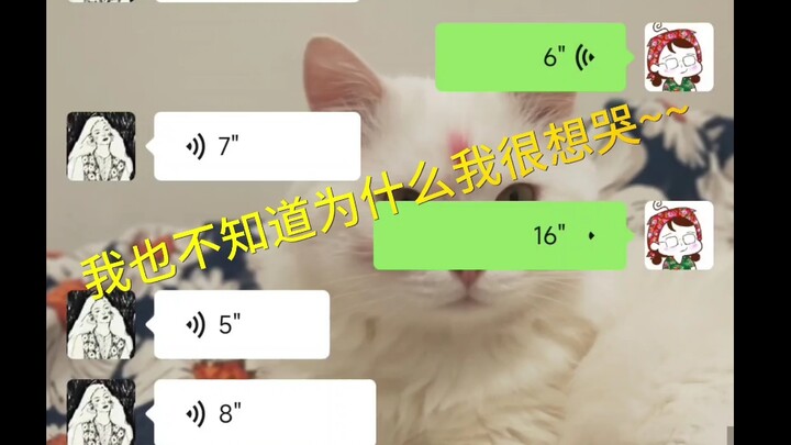 我被《长月烬明》创哭了