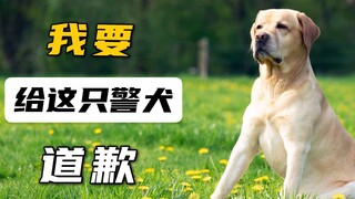 我要给这只警犬道歉