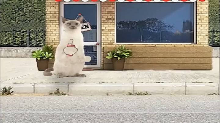 😹