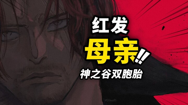 One Piece Chapter 1158 Details! The story of the birth of the red-haired twins! Rocks's breakup with