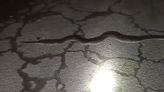 সবাই সাবধানে থাকবেন