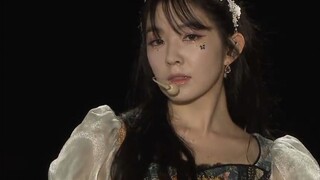 Red Velvet Feel My Rhythm 家族演唱会舞台