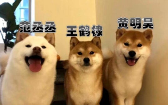 Para selebriti Tiongkok yang mencolok (alias mantan penggemar berat dan idola favoritku)