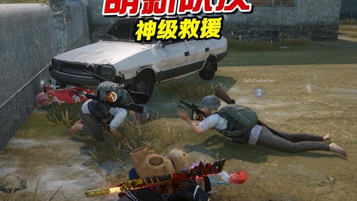 Newbie teammate