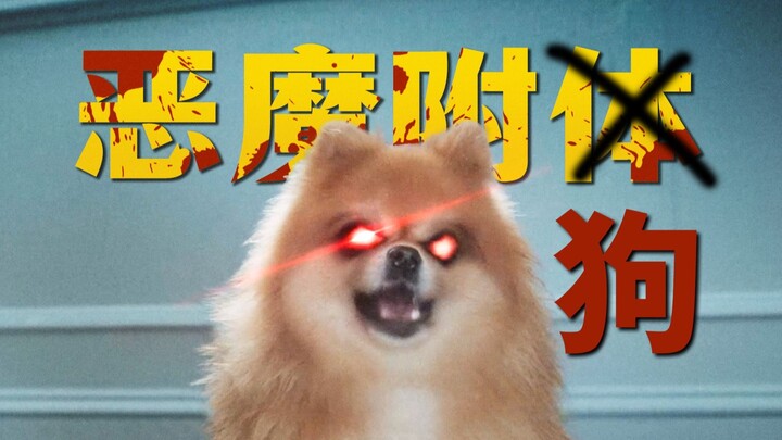 So ruthless! Not even a dog gets spared! Commentary on the comedy horror film “Vengeful Ghost In-Law