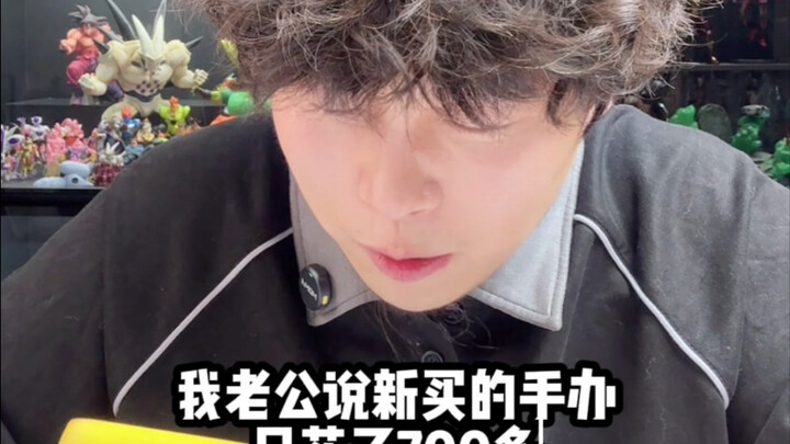 我老公说新买的手办只花了700多？