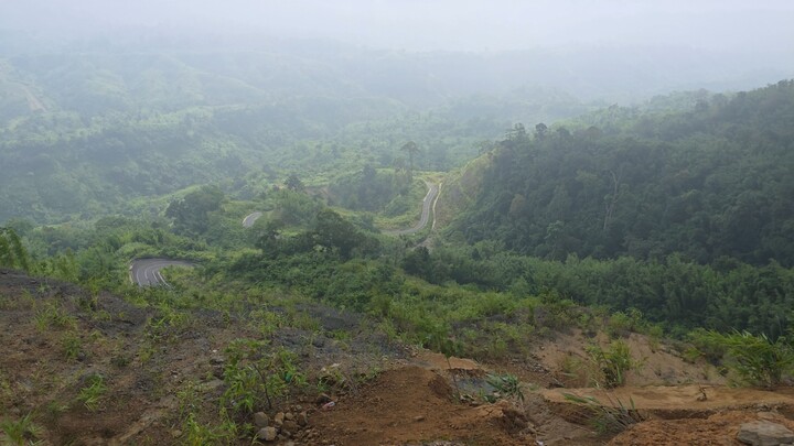 ড্রাগন ভিউ